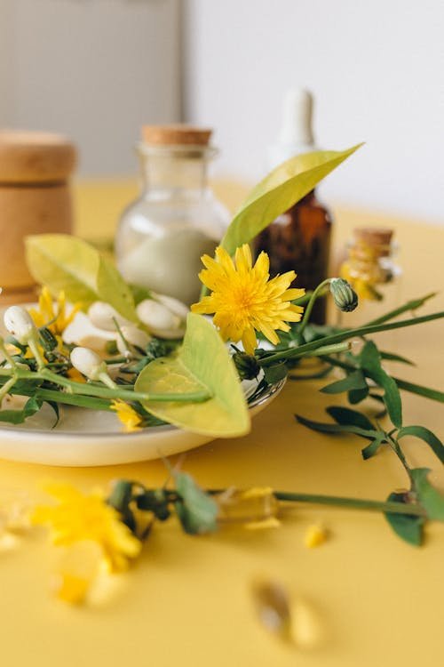 Free Yellow Flower on White Ceramic Plate Stock Photo